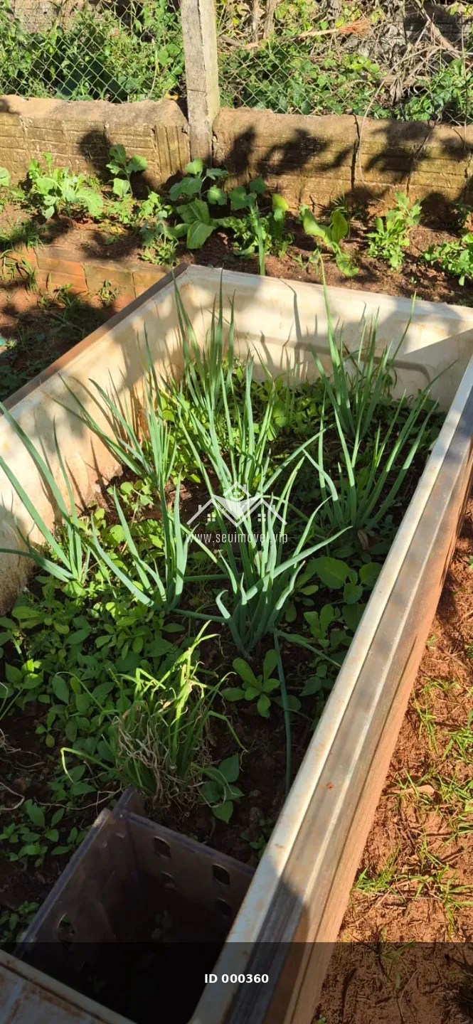Foto 22